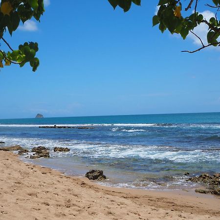 Plessis-Nogent Holidays Guadeloupe מראה חיצוני תמונה