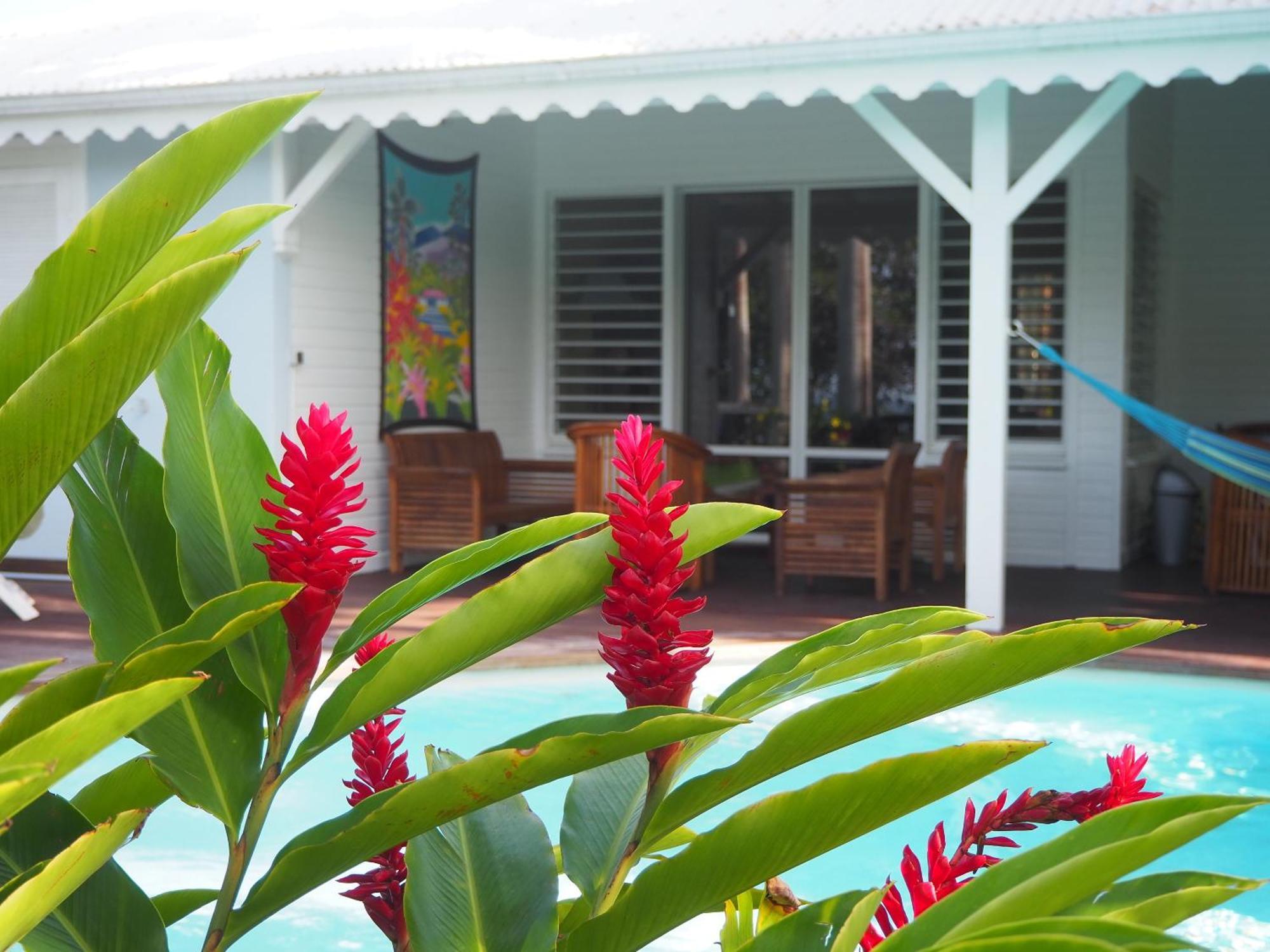 Plessis-Nogent Holidays Guadeloupe חדר תמונה